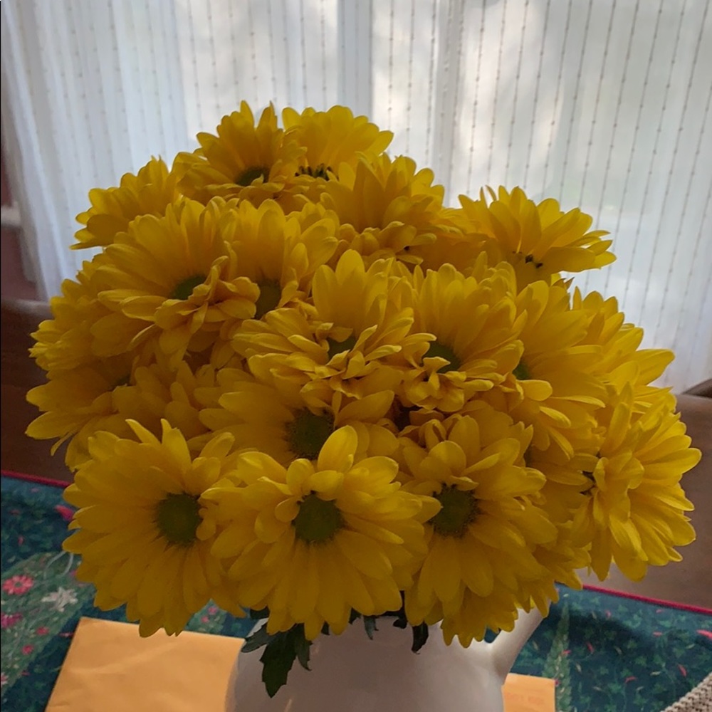 Meet your Posher, Pranav